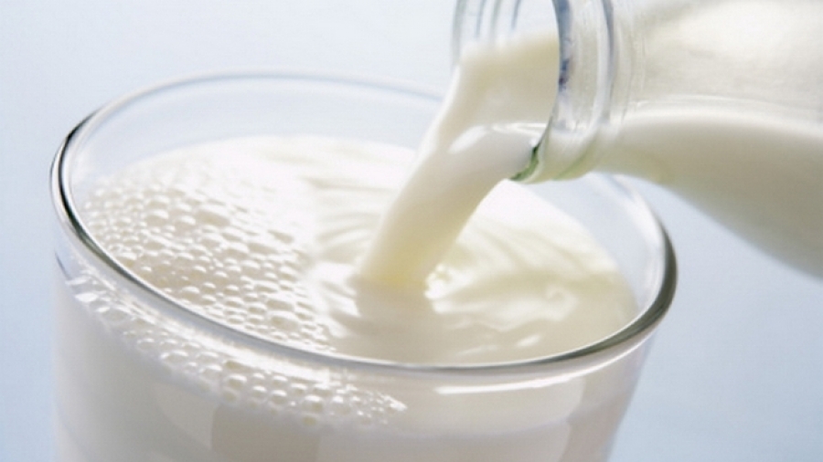 Союзмолоко предсказало рост цен на сырое молоко в 2016 году на 5%